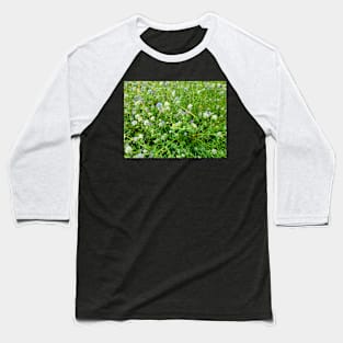 Clover Baseball T-Shirt